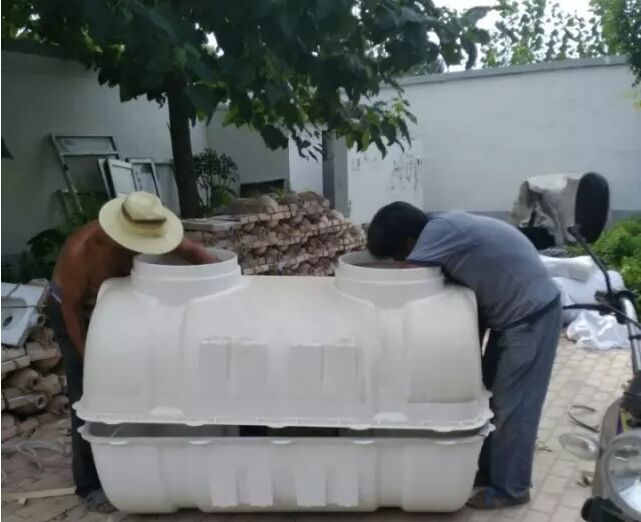 ģ�����S��